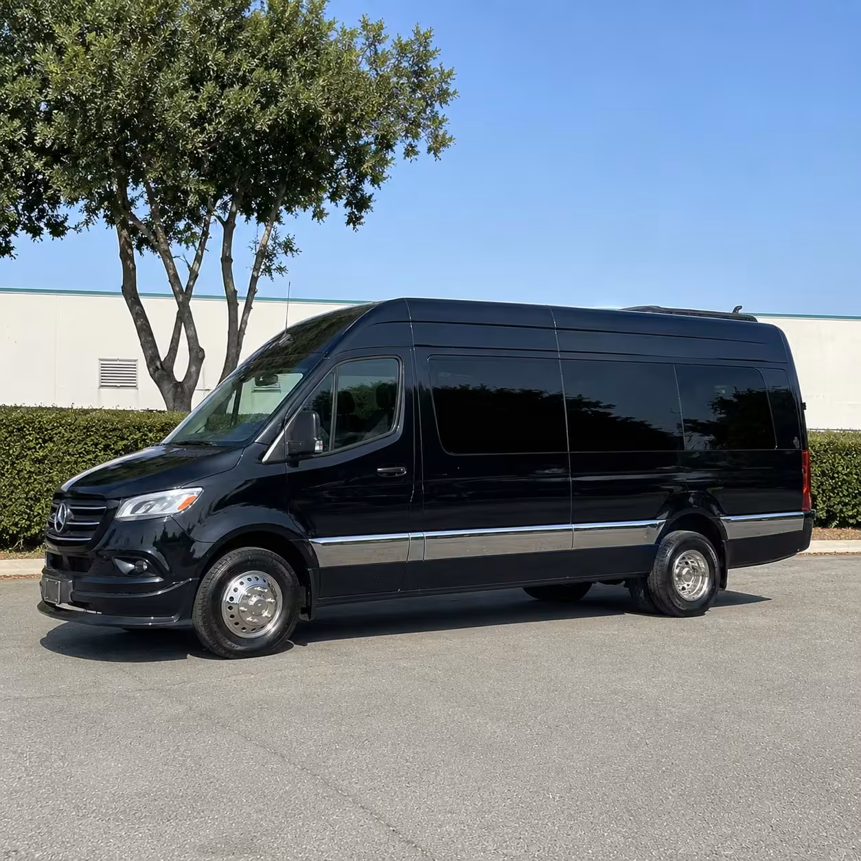 14 passenger sprinter limousine